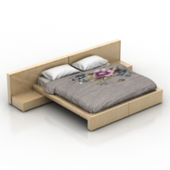 Double Simmons model