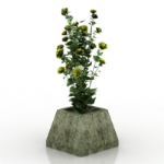 Wildflowers Bonsai 3d models