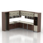 European model of the whole cabinet