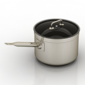 small pot with the model