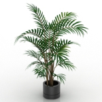 Simple bonsai 3d model