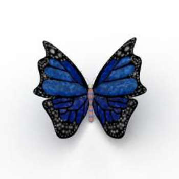 blue butterfly models