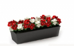 Potted plants 3D model design renderings