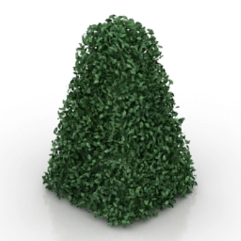 green model