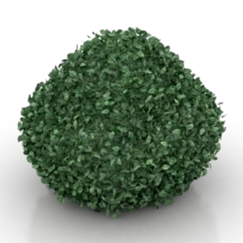 green bush model