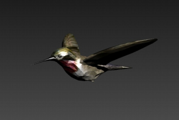 Jay 3d models