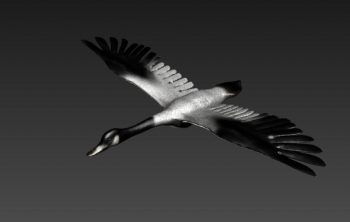 Open wings of the Swan 3D model