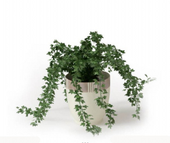 Green potted plant 3D model

