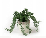 Green potted plant 3D model