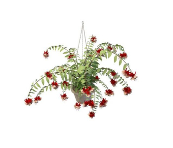 Red pink flowers basket model