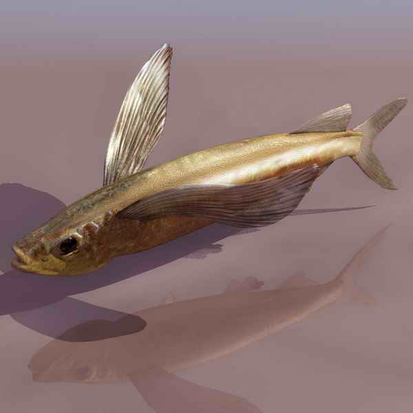 Download FREE 3D Models!
