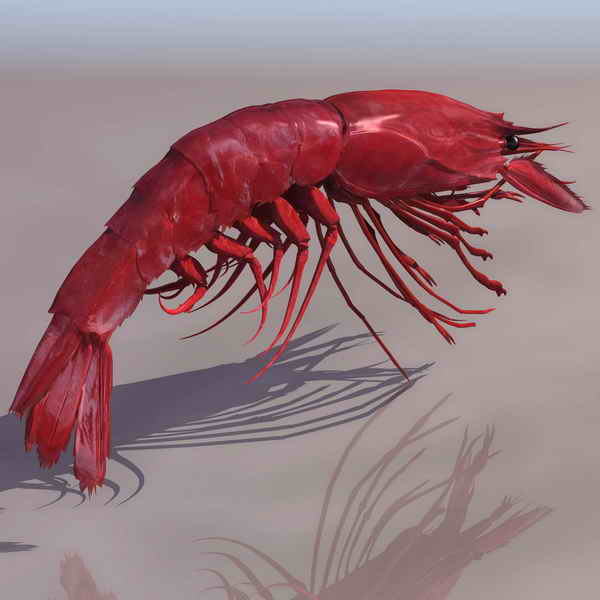 Download FREE 3D Models!