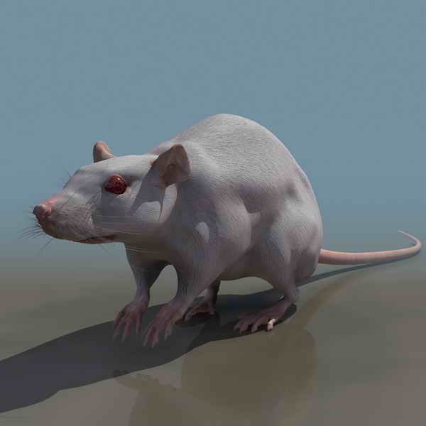 Download FREE 3D Models!