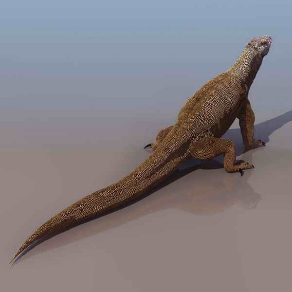 Download FREE 3D Models!