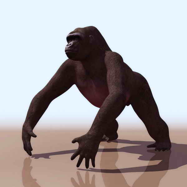 Download FREE 3D Models!