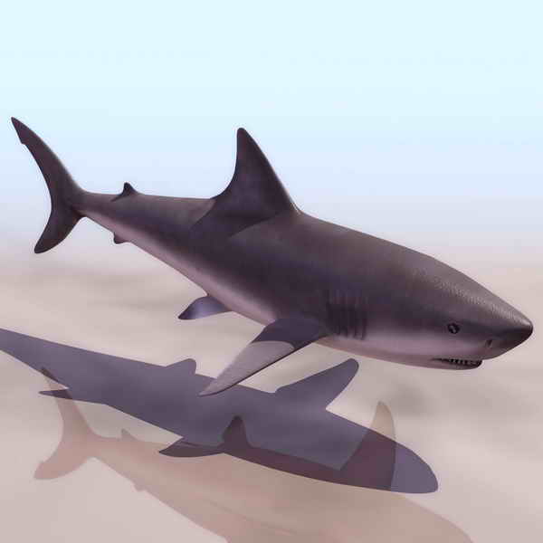 Download FREE 3D Models!