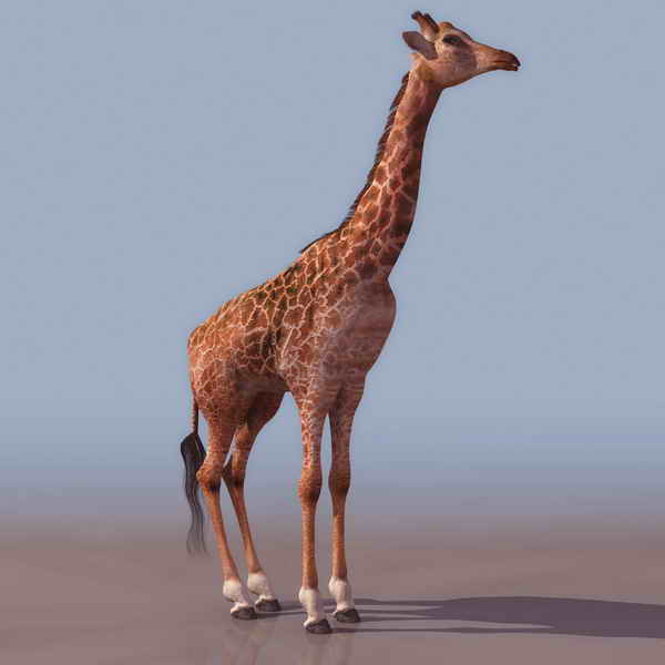 free 3d models animal free 3d models animal