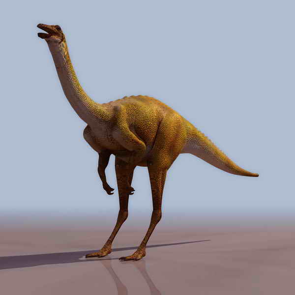 Download FREE 3D Models!