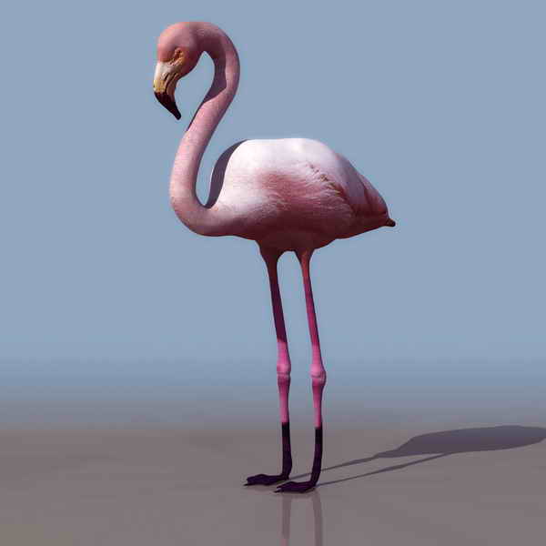 Download FREE 3D Models!