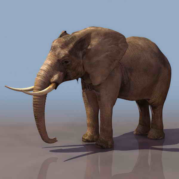 elephant 3d model free download