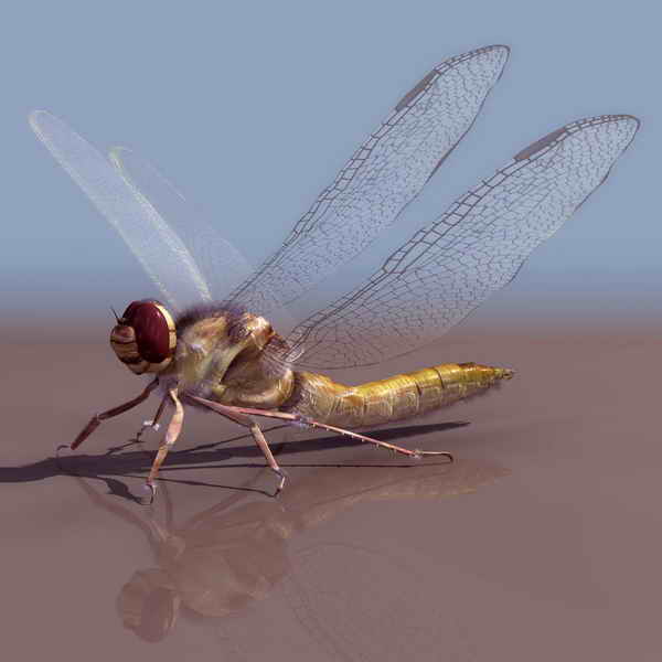 Download FREE 3D Models!