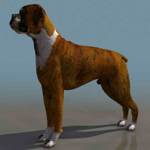 Download FREE 3D Models!
