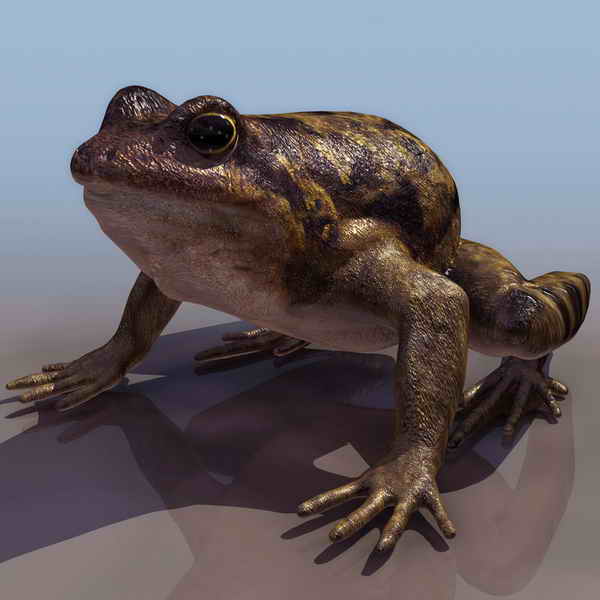 Download FREE 3D Models!