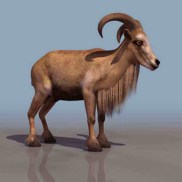 Download FREE 3D Models!