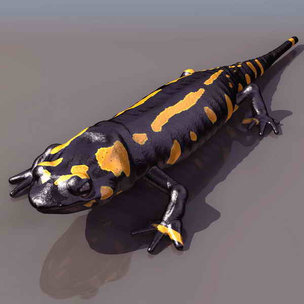 Download FREE 3D Models!