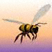   bees  animals 50-2