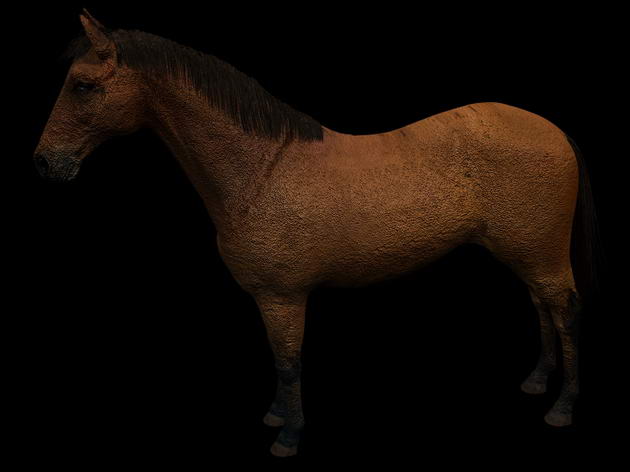 Download FREE 3D Models!
