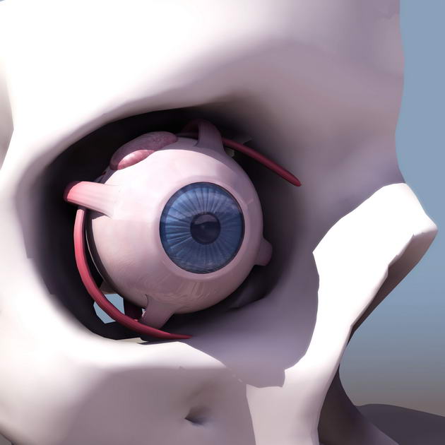 Download FREE 3D Models!