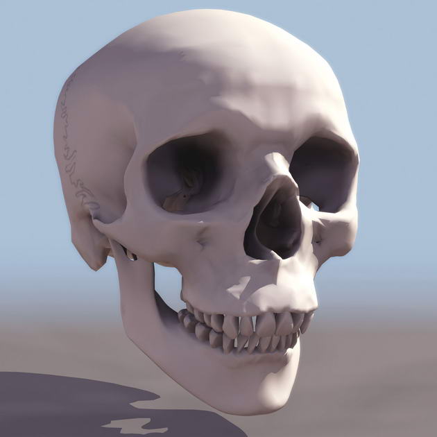 Download FREE 3D Models!