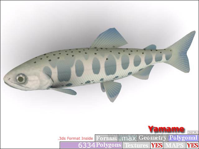 Download FREE 3D Models!