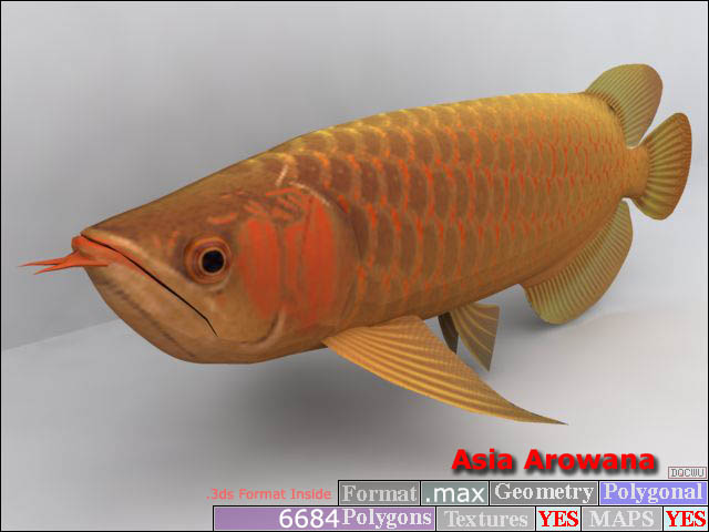 Download FREE 3D Models!