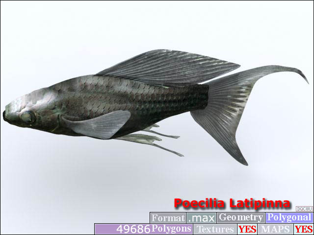 Download FREE 3D Models!
