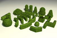  Bushes / coppices