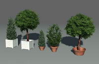  Green Parks / plants / trees