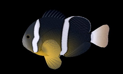 Download FREE 3D Models!
