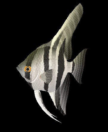 Download FREE 3D Models!