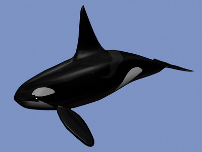 Download FREE 3D Models!