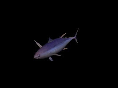 Download FREE 3D Models!