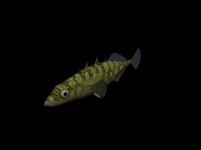 Download FREE 3D Models!