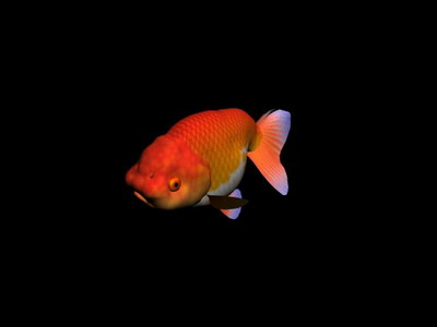 Download FREE 3D Models!