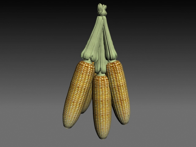 Download FREE 3D Models!