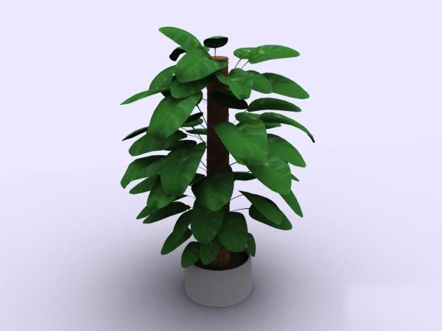 Download FREE 3D Models!