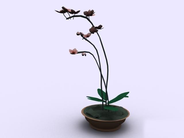 Download FREE 3D Models!