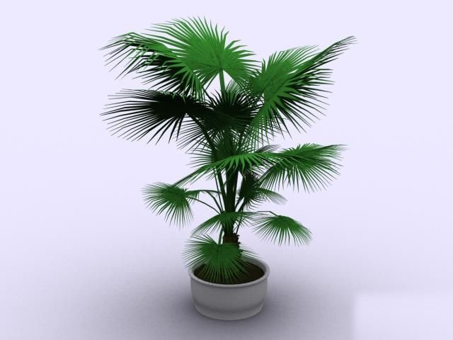 Download FREE 3D Models!