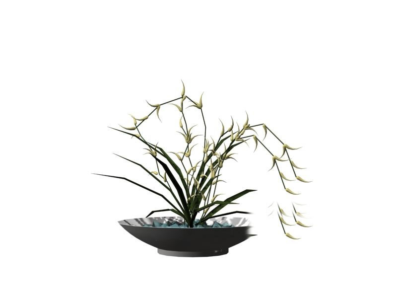 Download FREE 3D Models!