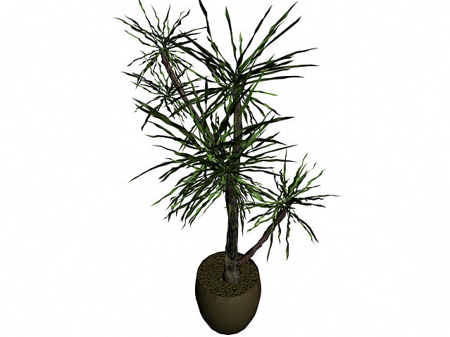 Download FREE 3D Models!